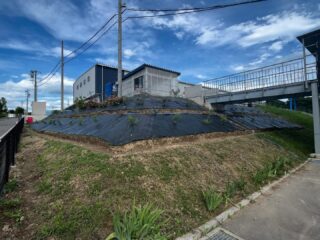 去年植えたバラが立派に成長したので、今年はどーんと40株植えちゃいました🌹
植えるのはいいのですが、手入れはやらない自信があるので、荒井バラ園さんにお願いして
1.トゲが少ない
2.病気に強い
3.世話をしなくてもちゃんと咲く
バラを選んでもらいました😆
題して『ずぼらバラ園』です笑笑
とりあえず根付くまでは水やりがんばります！🚿
来年咲くのが楽しみです😊ちなみに去年植えたバラも、ほとんど世話しなくてもちゃんと咲いてくれました🌹🤣🌹#長野県 #中野市 #鉄工所 #鉄骨製作#Hグレード #社員募集中 #バラ #荒井バラ園 #簡単なバラ