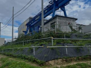 春に植えたバラがだいぶ育ってきたのでバーゴラを設置しました🌹
誘引はもう少し寒くなってからの方がいいらしいので、しばらくこのまま放置です😄
来年の春、いっぱい花が咲くかな〜🌹🌹🌹#長野県 #中野市 #鉄工所 #鉄骨製作#Hグレード #社員募集中 #バラ #ツルバラの誘引